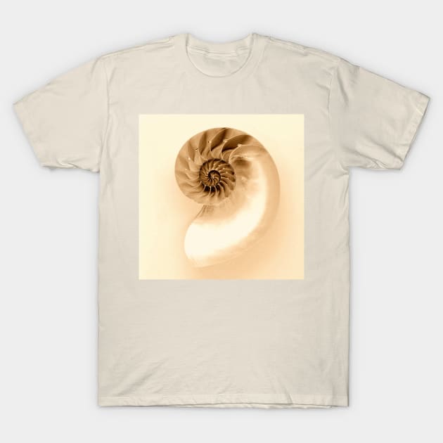 SEASHELL T-Shirt by MAYRAREINART